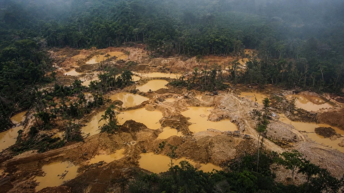 Área de garimpo de ouro aberta em meio à floresta amazônica, com poças barrentas e mata ao redor.